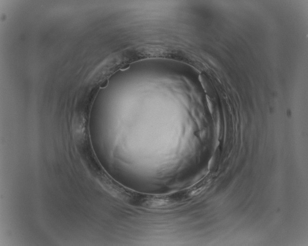 X0000071380507200606261417