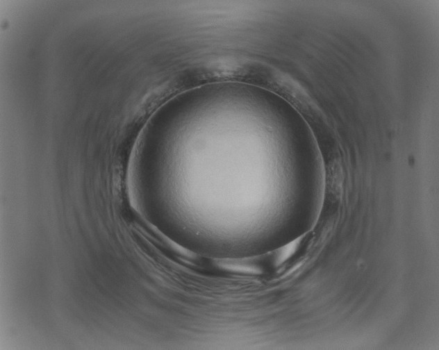 X0000071380509200606261417