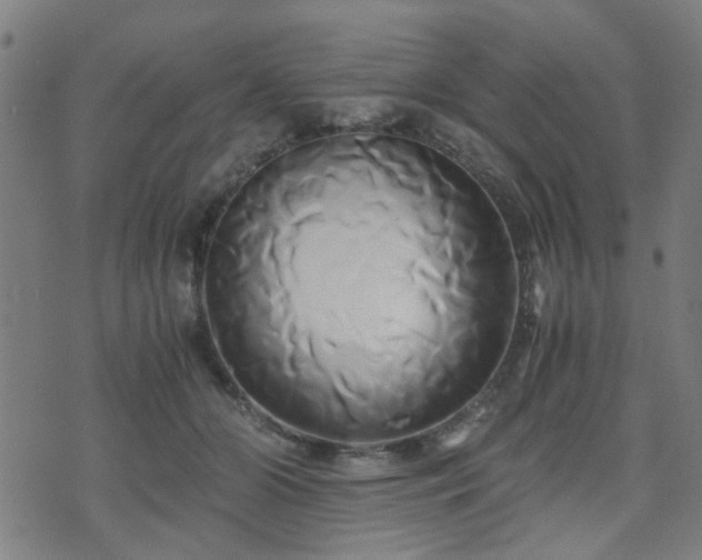 X0000071380510200606261417