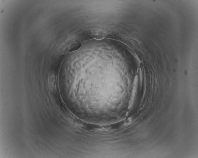 X0000071380511200606261417