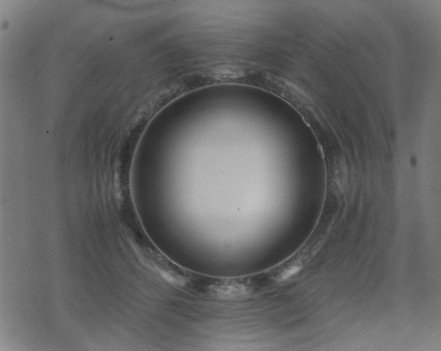 X0000071380512200606261417