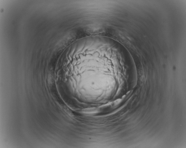 X0000071380515200606261417