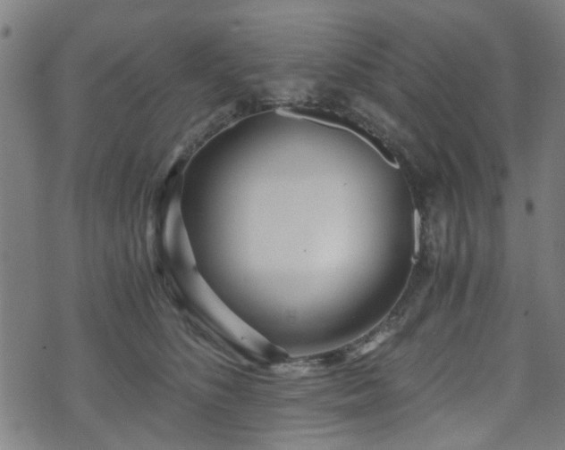 X0000071380516200606261417