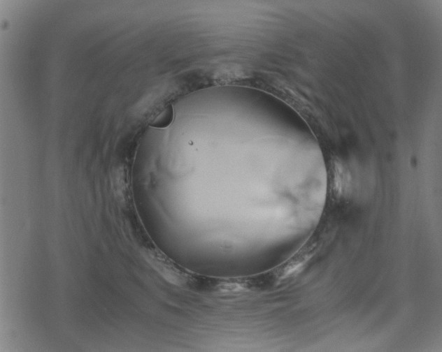 X0000071380519200606261416