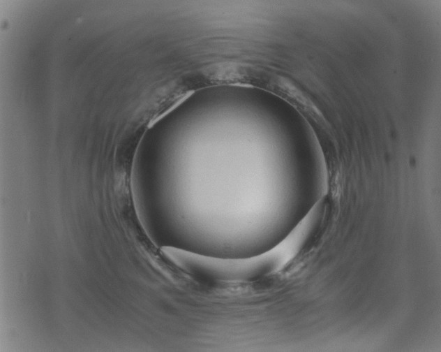 X0000071380521200606261416