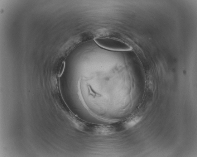 X0000071380523200606261416