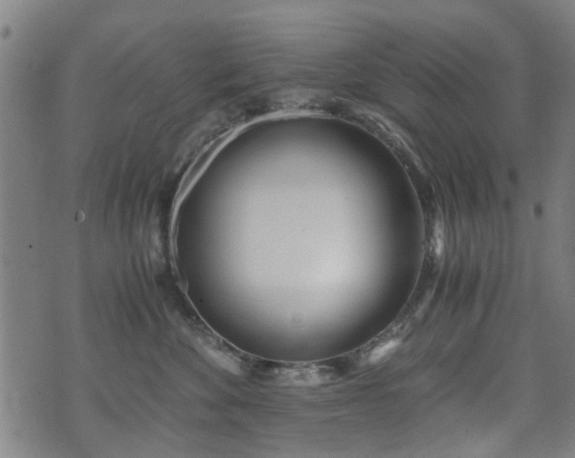 X0000071380524200606261416