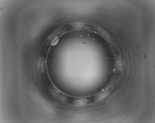 X0000071380525200606261416