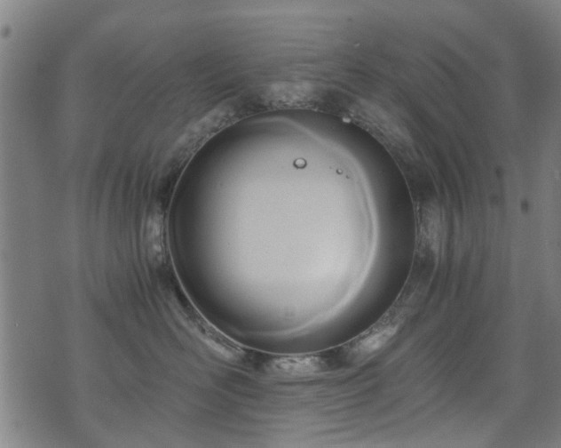 X0000071380526200606261416