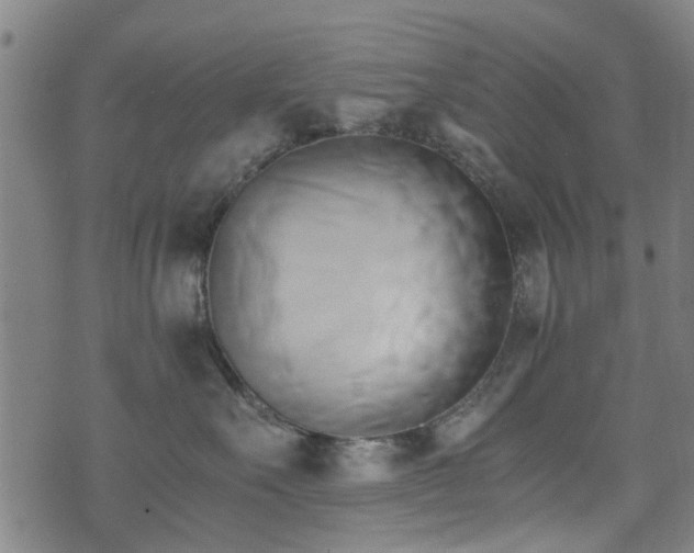 X0000071380527200606261416