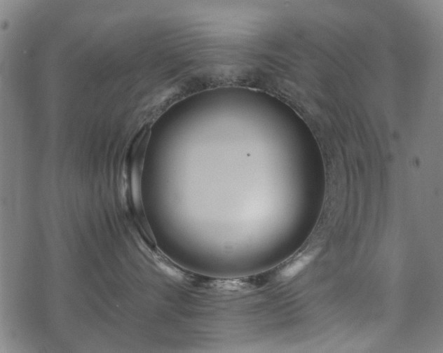 X0000071380528200606261416