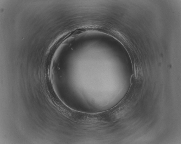 X0000071380531200606261416