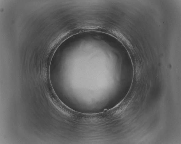 X0000071380533200606261416