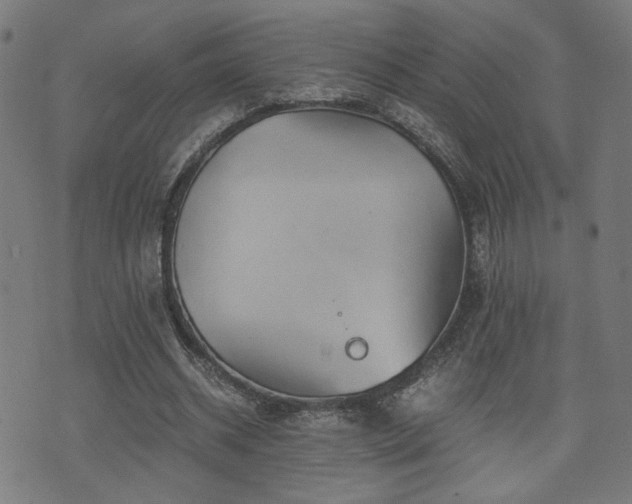 X0000071380534200606261416