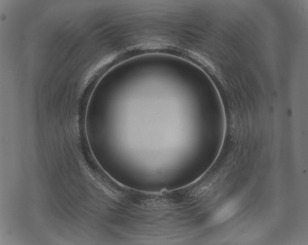 X0000071380535200606261416