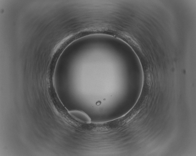 X0000071380536200606261416