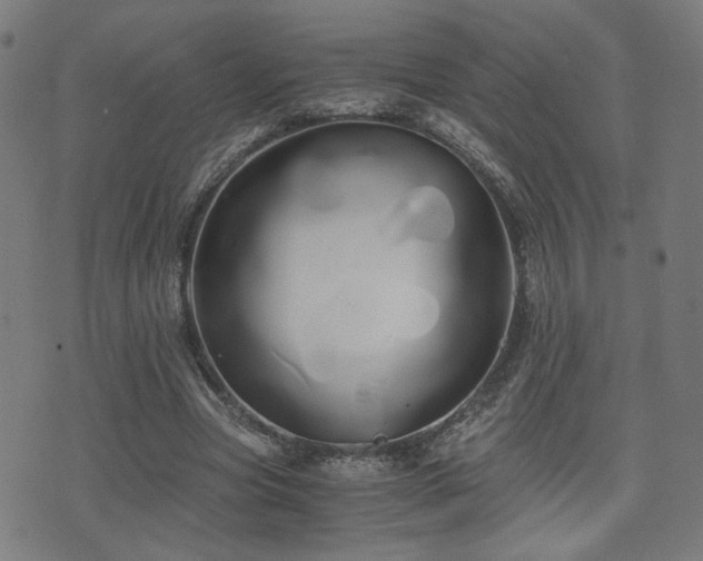 X0000071380537200606261416