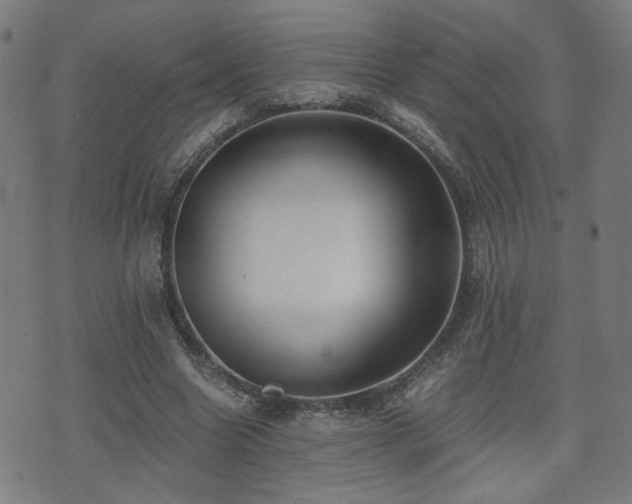 X0000071380538200606261416