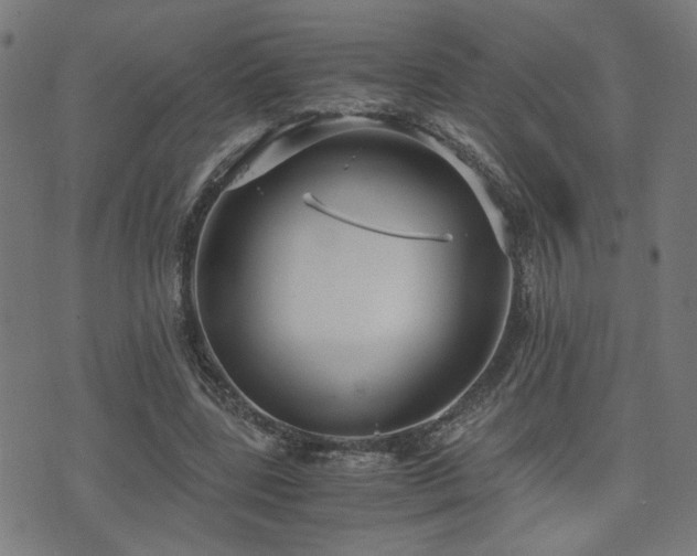 X0000071380539200606261416