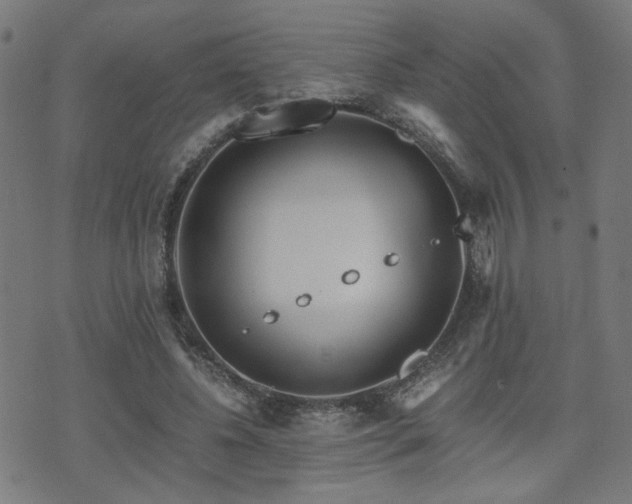 X0000071380540200606261416