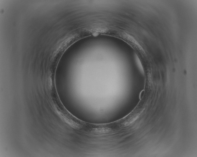 X0000071380541200606261416