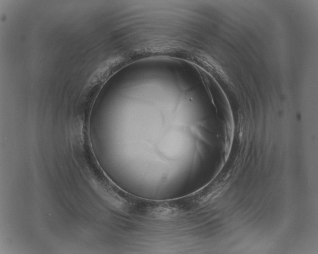 X0000071380542200606261416