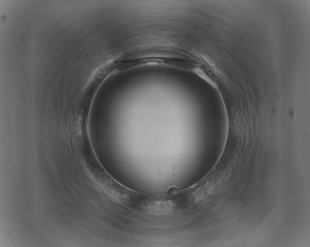 X0000071380543200606261416