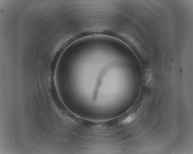 X0000071380544200606261416