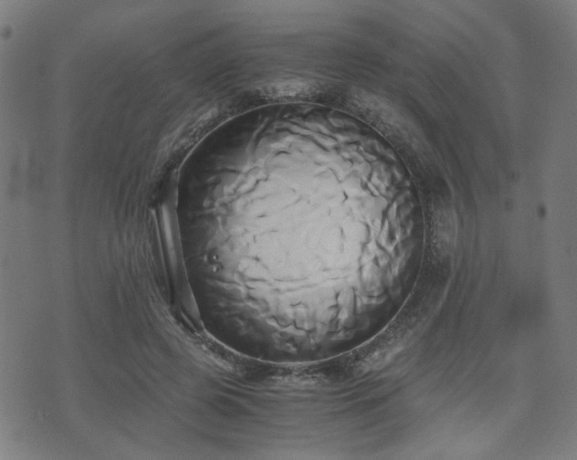 X0000071380545200606261416