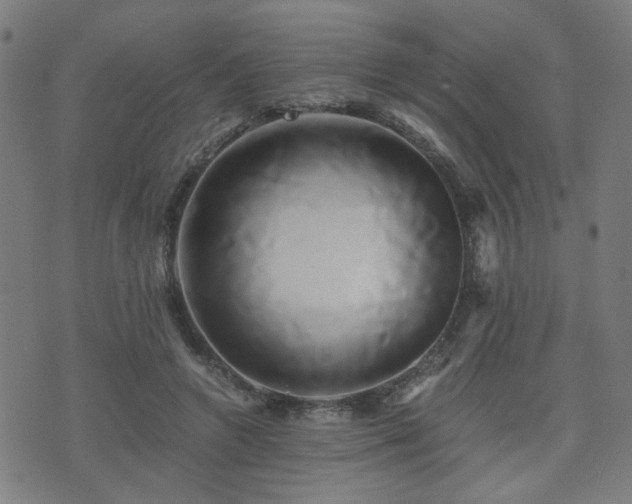 X0000071380546200606261416