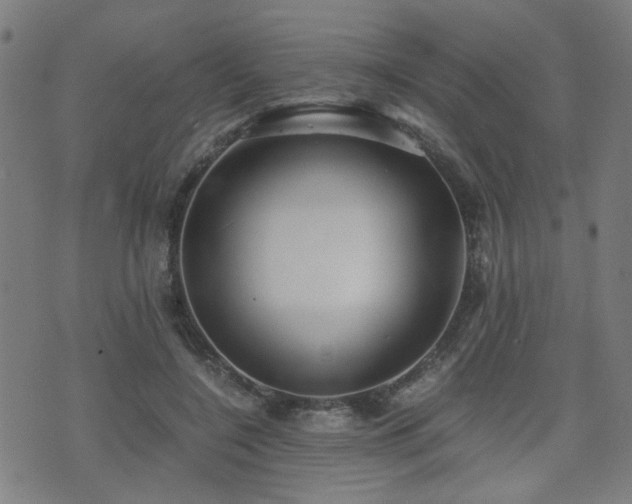 X0000071380548200606261416