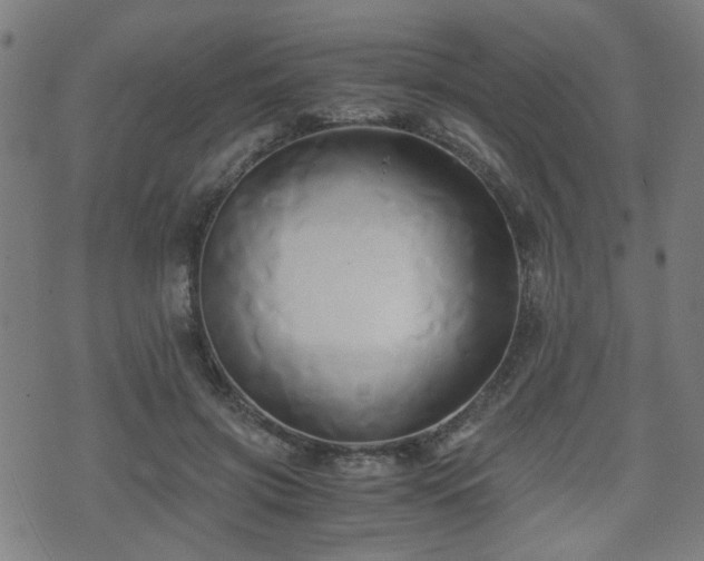 X0000071380549200606261416