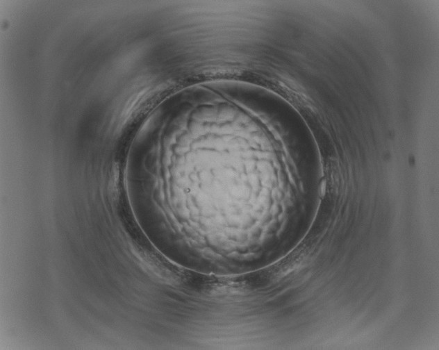 X0000071380550200606261416