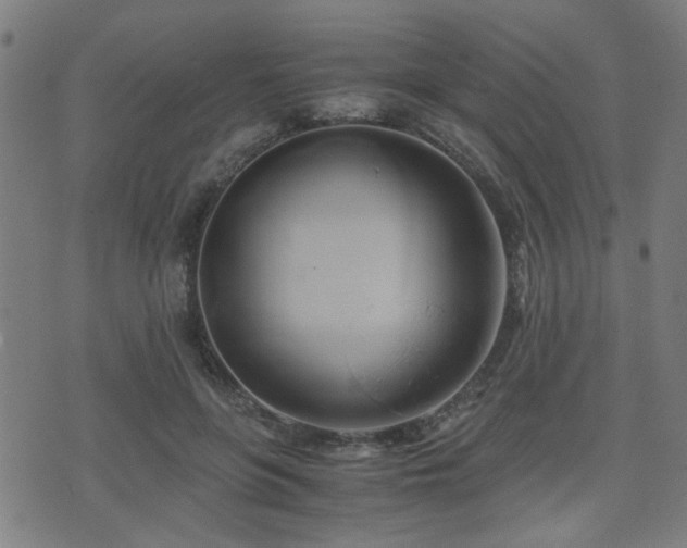 X0000071380551200606261416