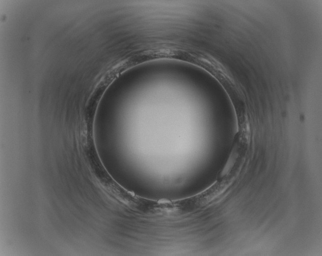 X0000071380552200606261416