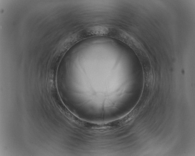 X0000071380553200606261416