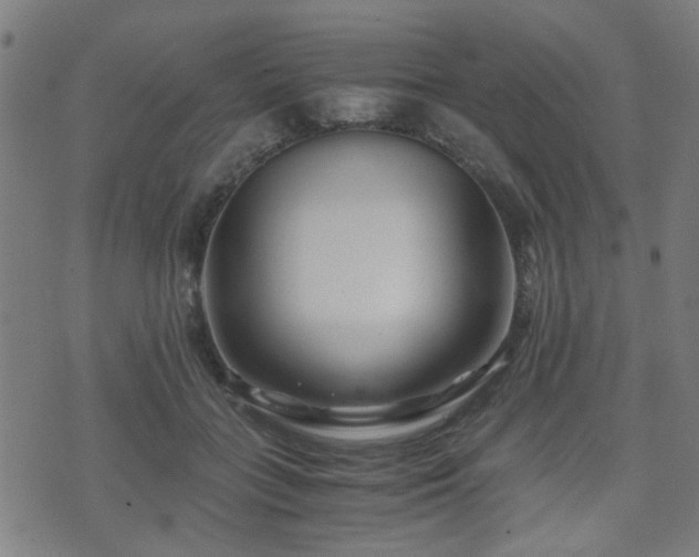 X0000071380555200606261416