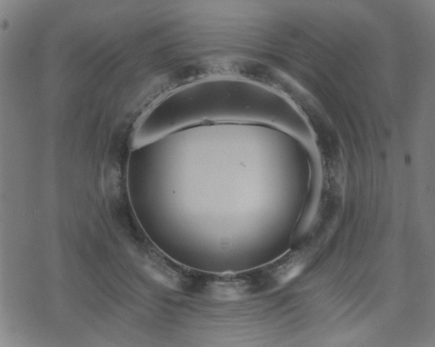 X0000071380556200606261416