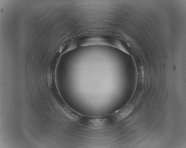 X0000071380558200606261416