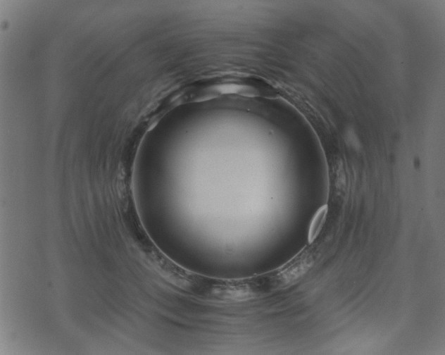 X0000071380559200606261416