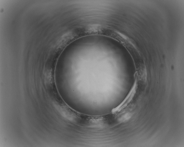 X0000071380560200606261416