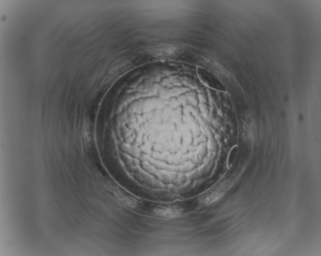 X0000071380561200606261416