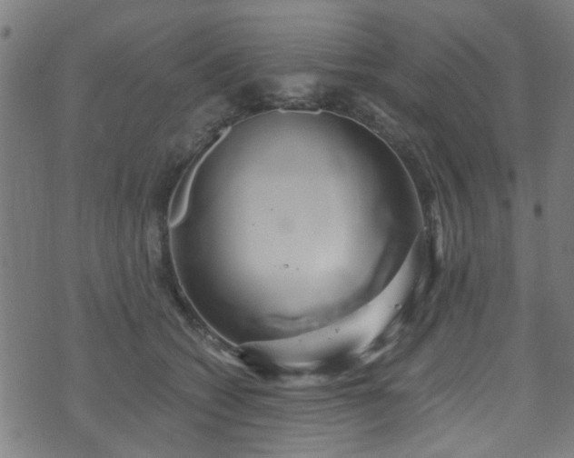 X0000071380562200606261416