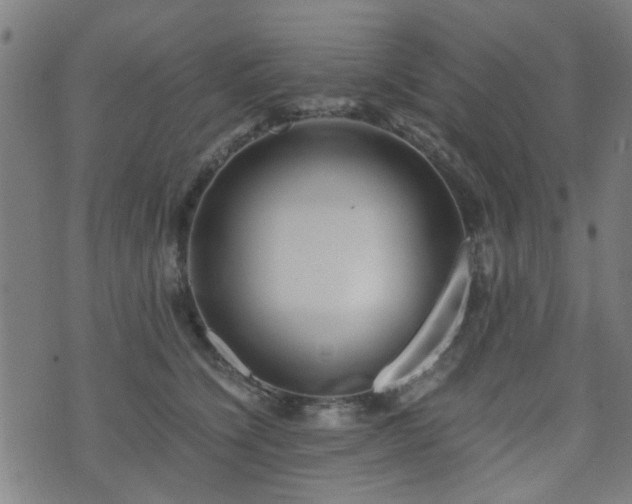 X0000071380564200606261416