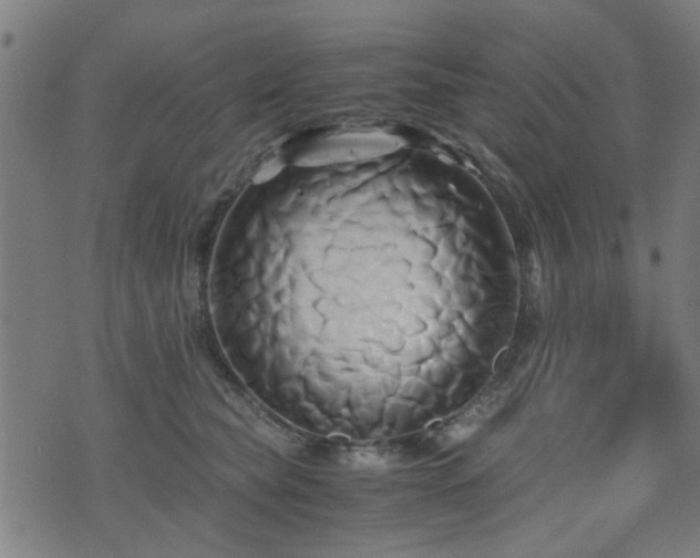 X0000071380565200606261416