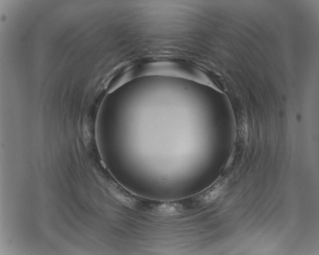 X0000071380566200606261416