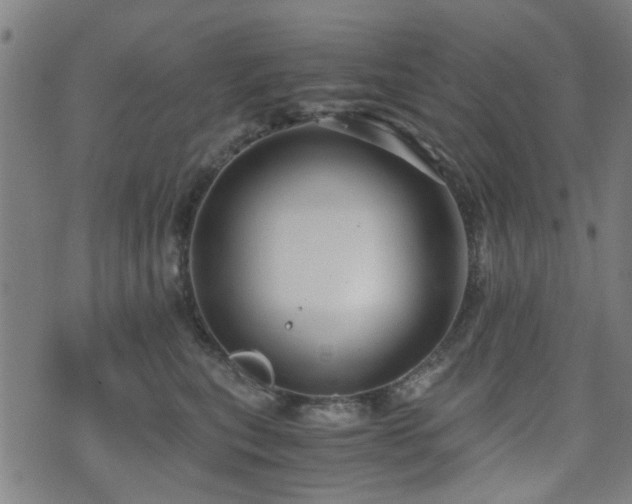 X0000071380567200606261416