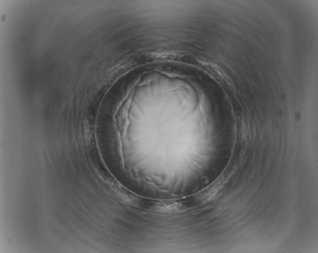 X0000071380569200606261416