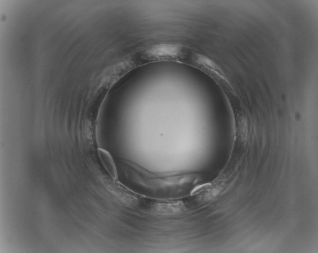 X0000071380571200606261416