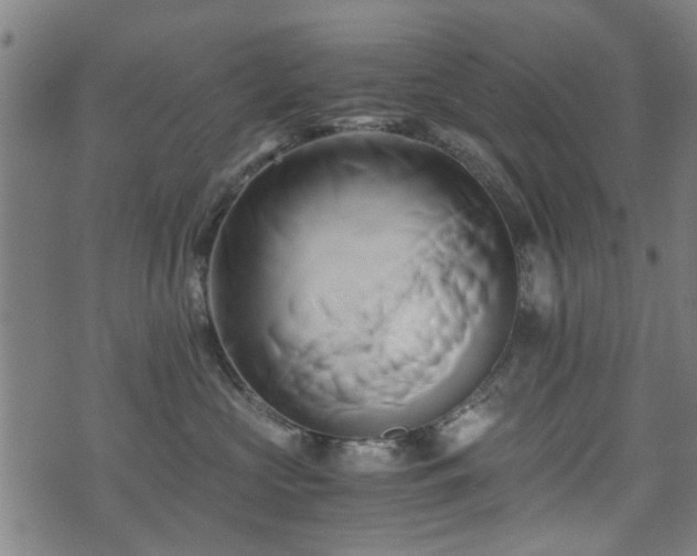 X0000071380573200606261416